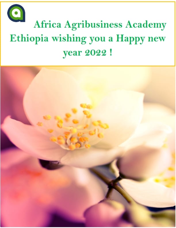 Africa Agribusiness Academy -Ethiopia | Addis Ababa