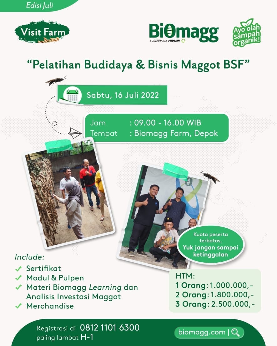 Biomagg - Hallo👋🏿, kalian ingin belajar budidaya maggot? ingin ...