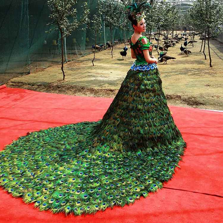 vera wang green wedding dress PEACOCK – $1.5 Million decided to stray away from the traditional white gown when designing this Peacock gown. Made out of 2,009 male peacock feathers, this dress required vera wang her own wedding dress