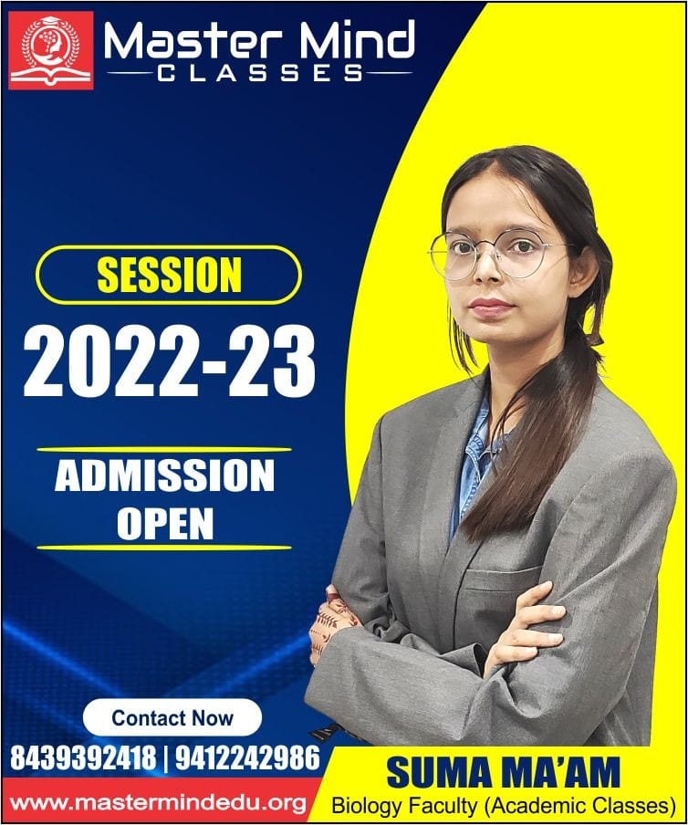 Master Mind Classes | Moradabad