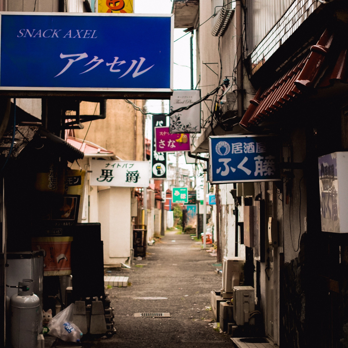 親不孝 通り