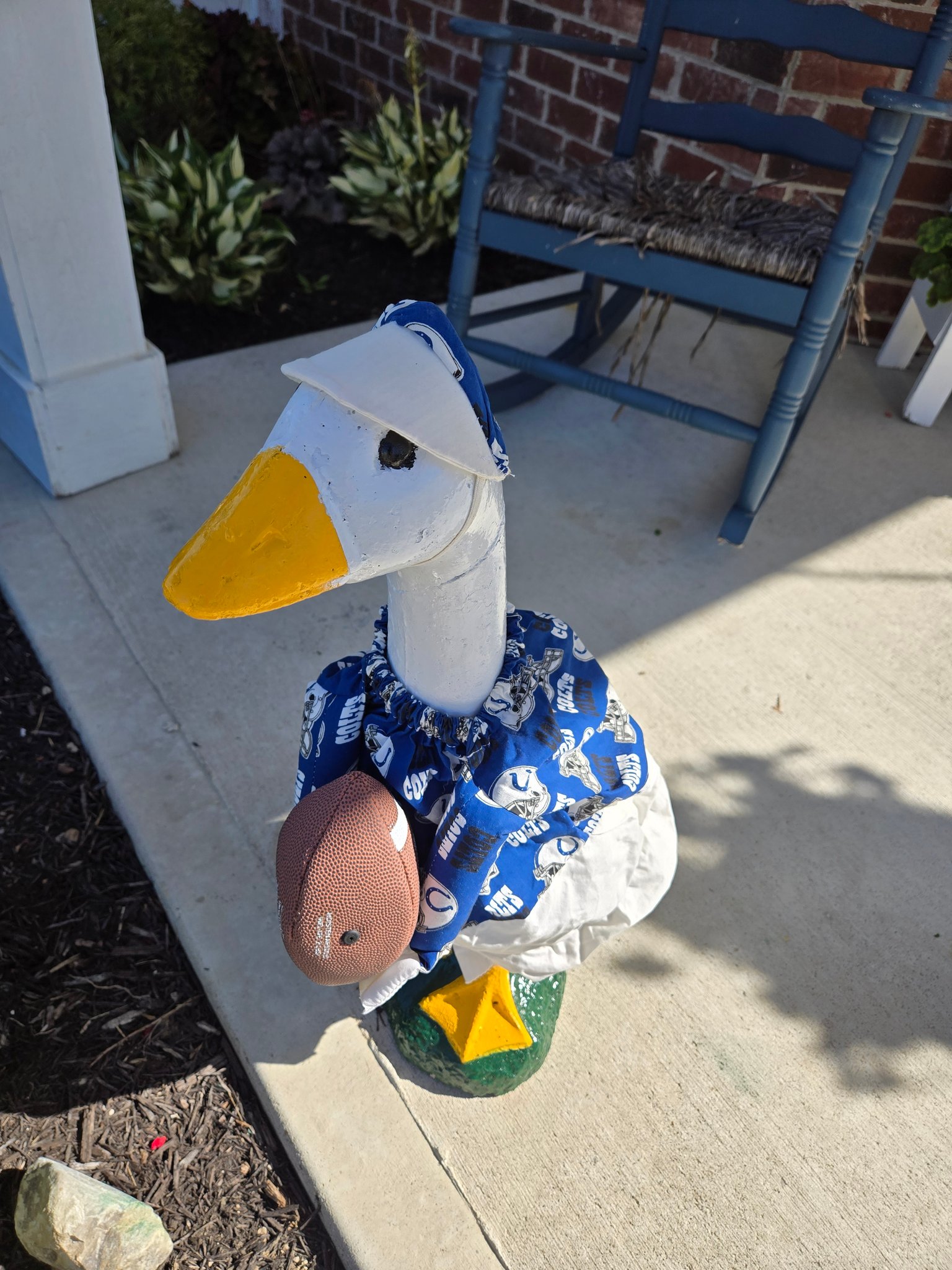 The Porch Goose Club of America | Lucy Goosie ready for some football ...