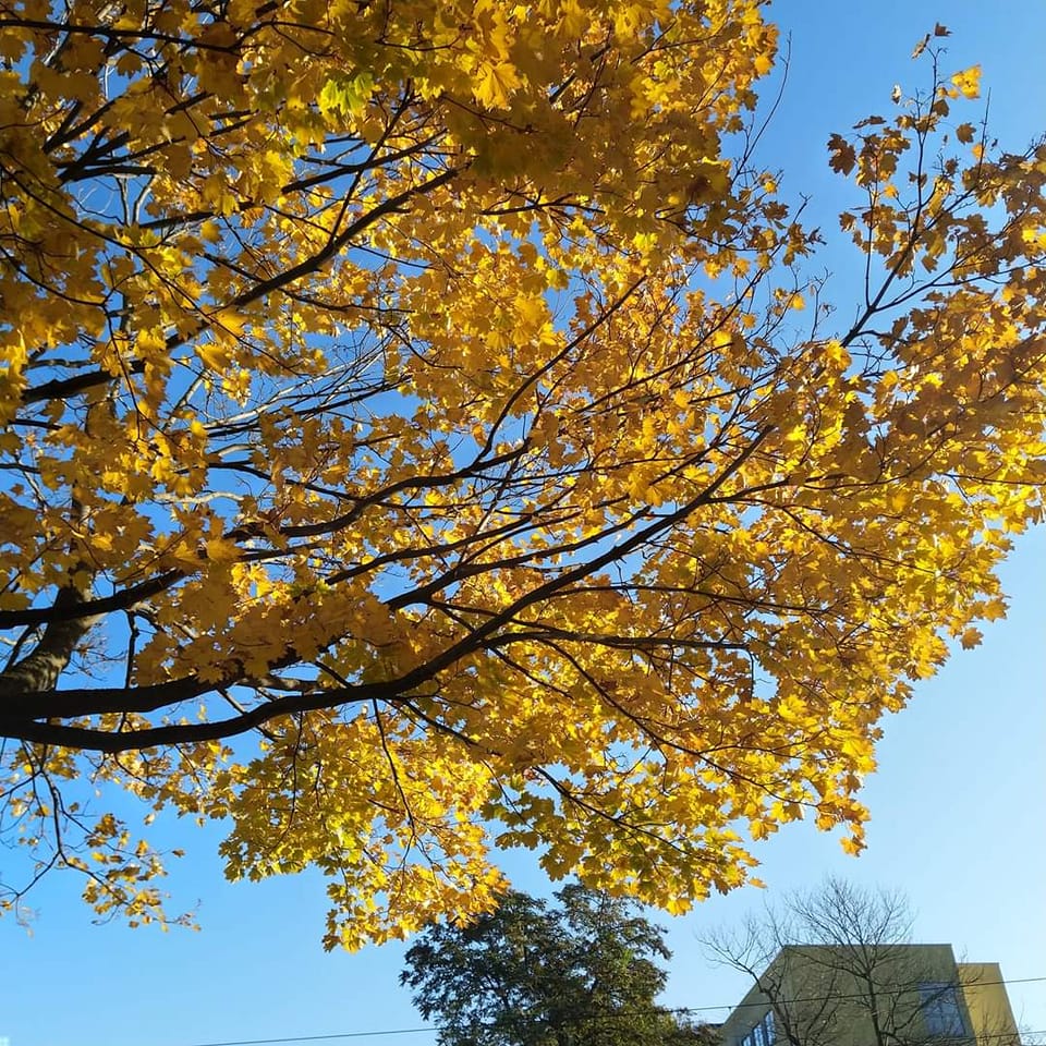 我讀德書少。 - #課後筆記 上《數碼安全與公共政策》課，教授講解時說了一句’”Man-in-the-middle... | Facebook
