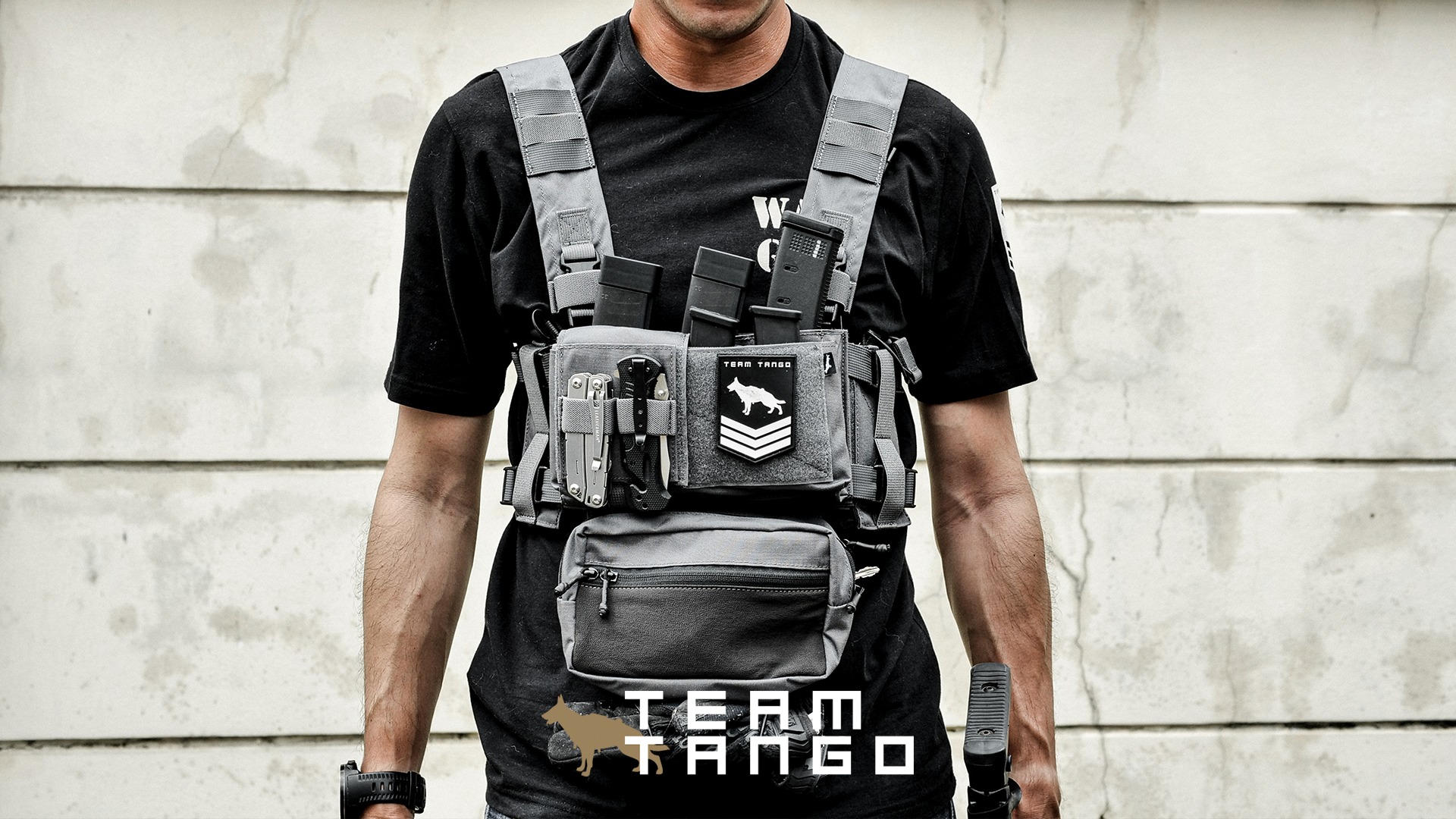 Team Tango - BADGER-H Chest Rig เกราะอกสำหรับใส่อุปกรณ์จาก... | Facebook