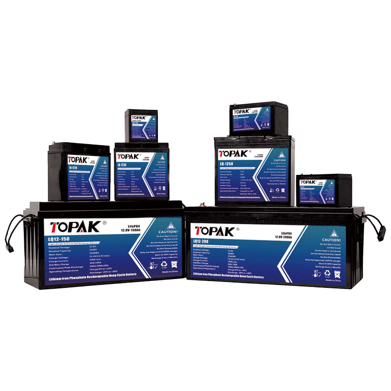 Topak Power New Energy | Dongguan