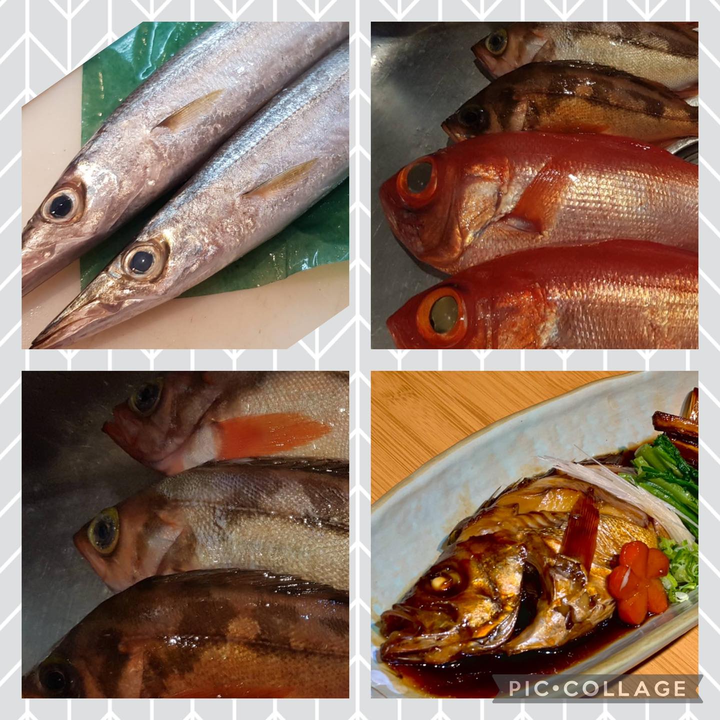 赤木鮮魚店