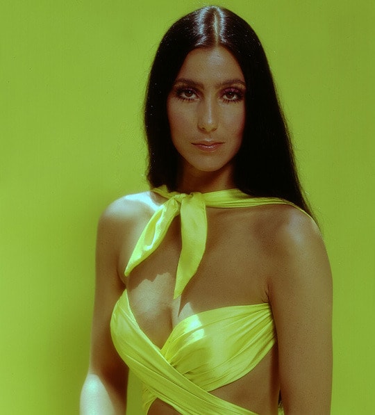 cher green dress I wear my clothes, my clothes don't wear me.