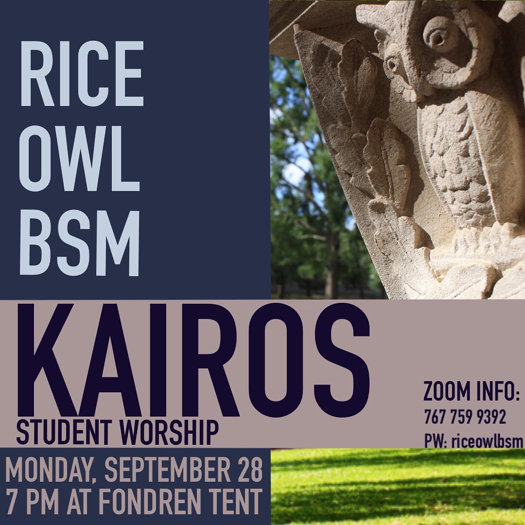 Rice BSM