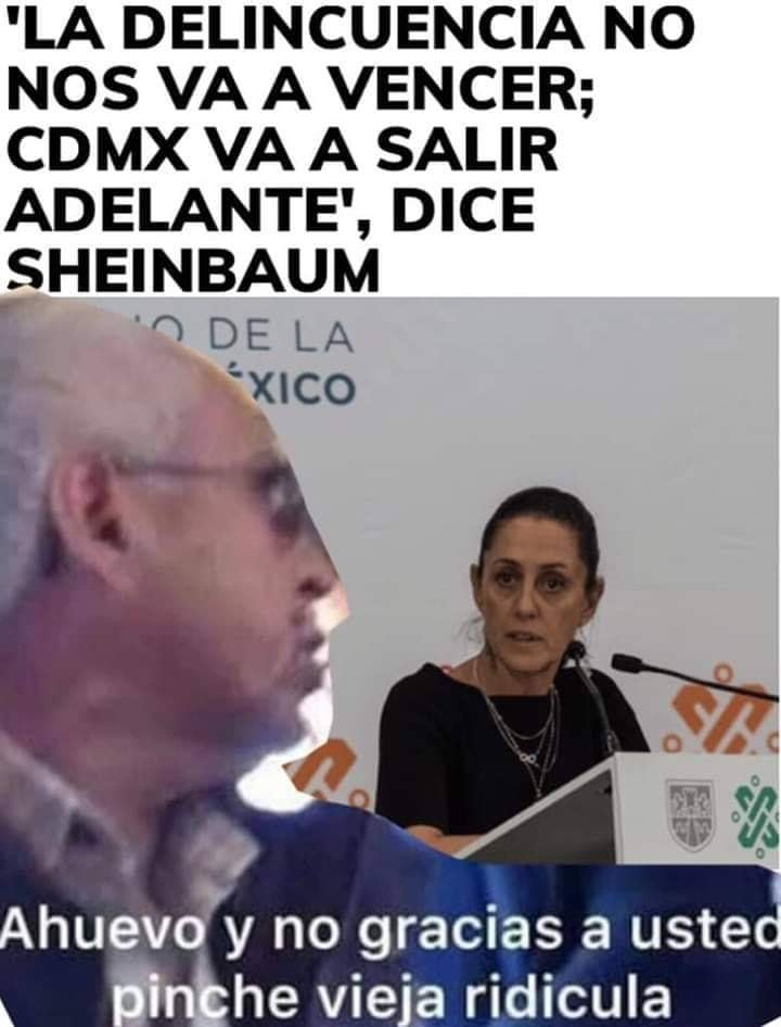 Pinche Vieja Ridicula Memes Señor De La Combi Explica El Episodio Que