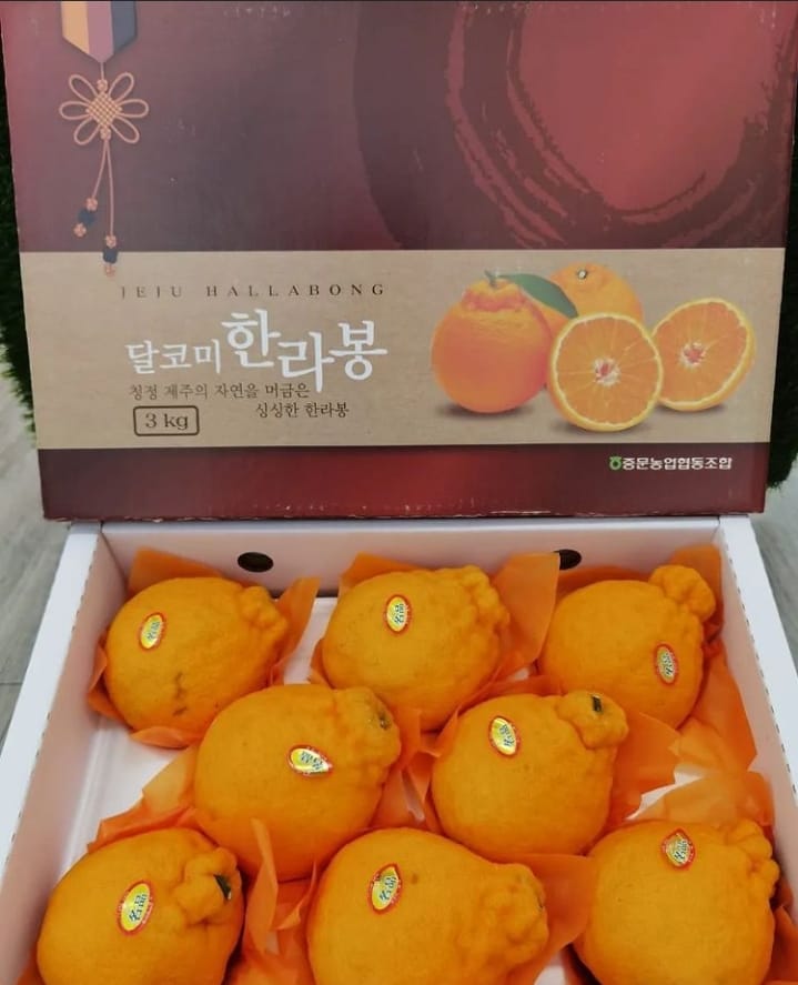 Freshfruiteries - #Hallabong (한라봉) 🍊#ส้มจุกฮาลาบงเกาหลี... | Facebook