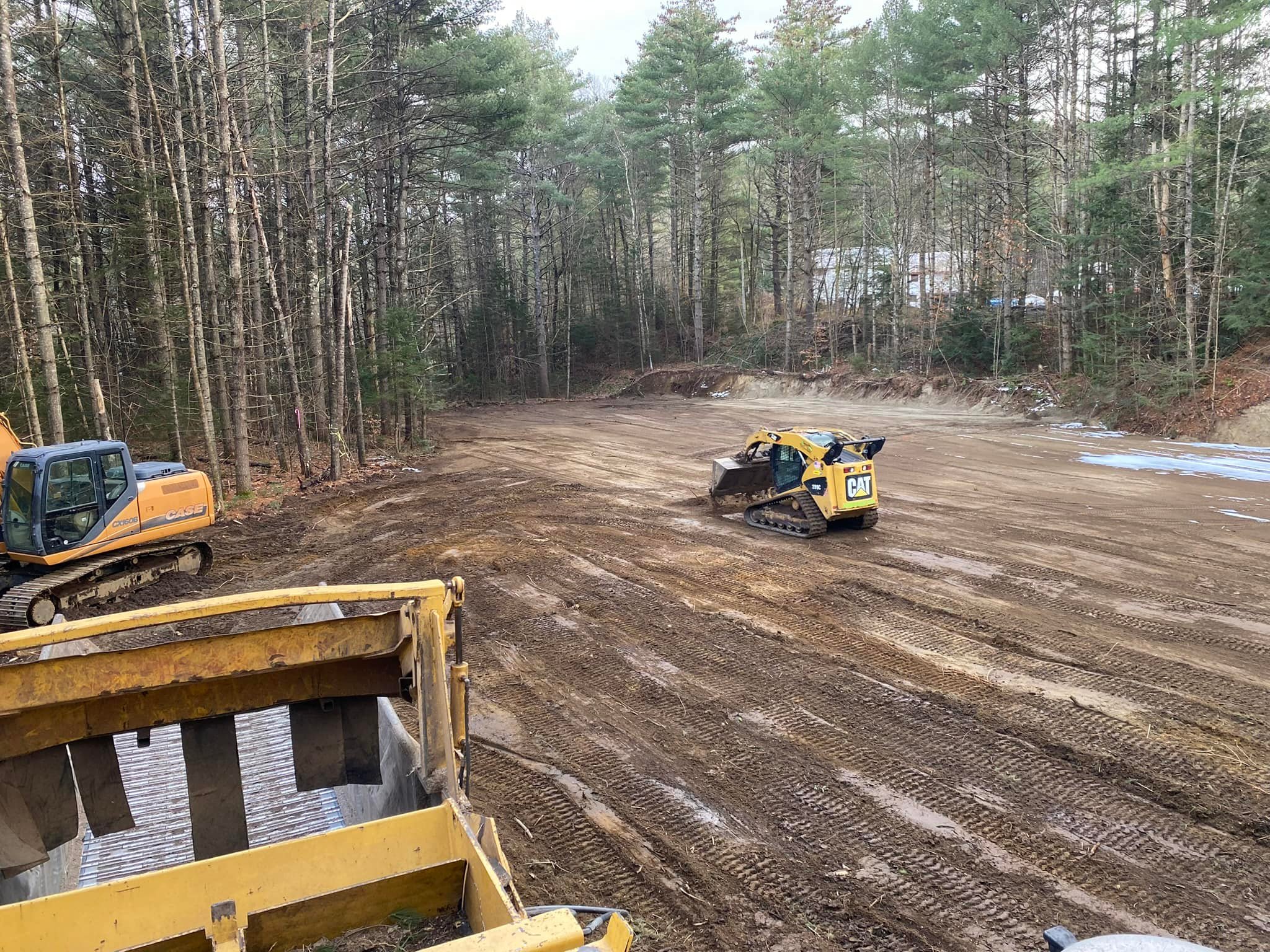 Richard Sears Tree Experts... - Richard Sears Tree Experts