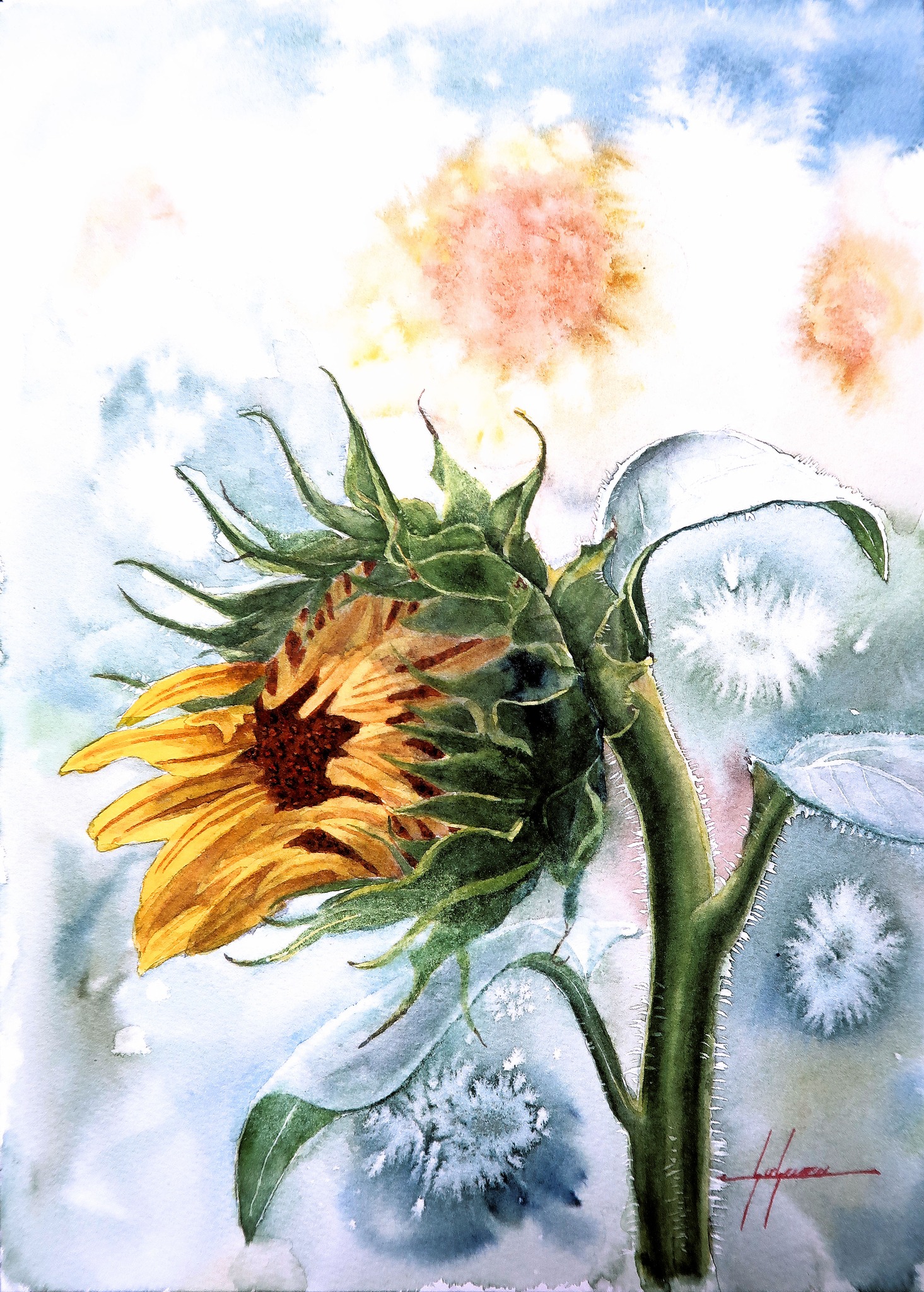 水彩画 花 水彩画(花)№207 水彩画(花)№207 透明水彩・野の花 Wildflower -