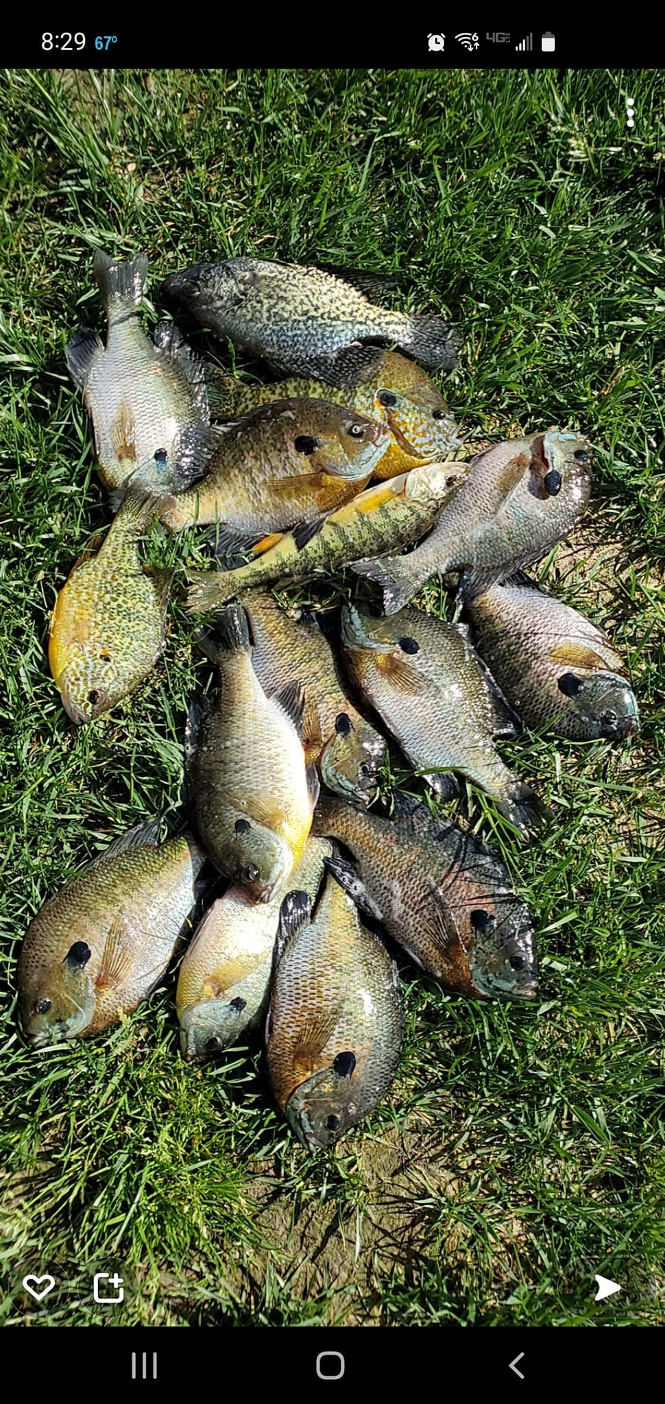 Devils and Round Lake Fishing | Manitou Beach MI