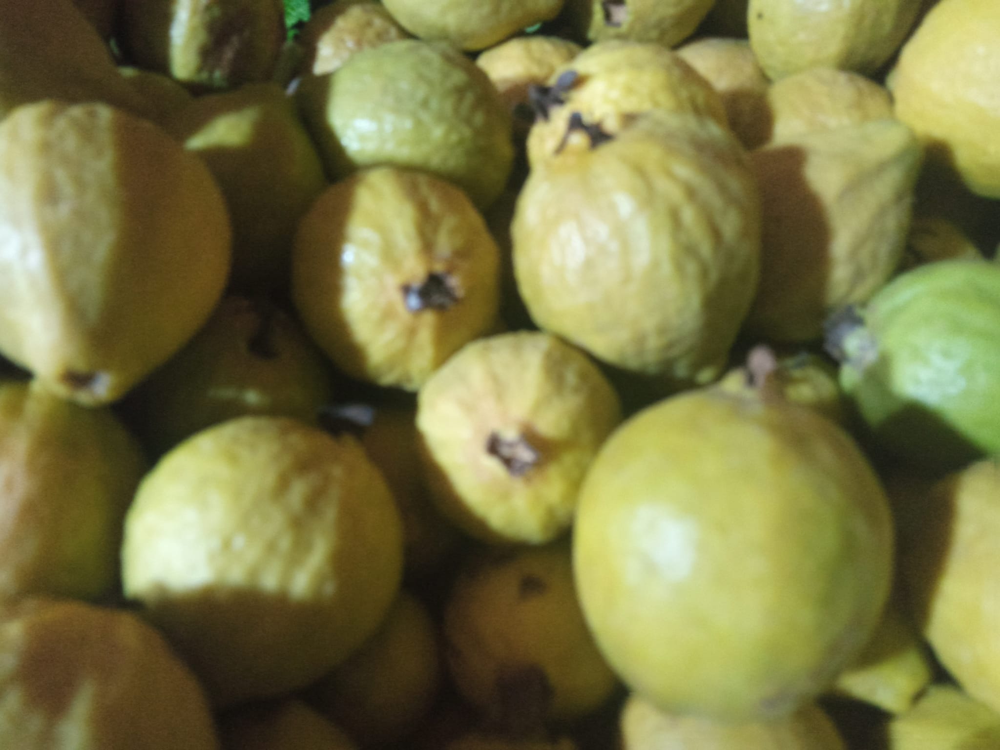 ‎خضر و غلال غرس الله‎ added a new photo. - خضر و غلال غرس الله