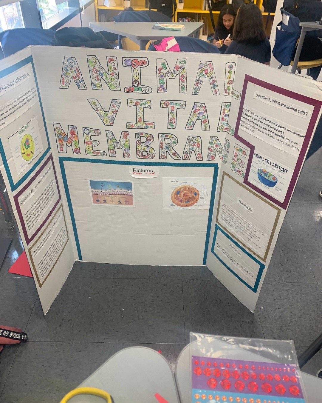 Our students put some amazing displays... - Creo College Prep