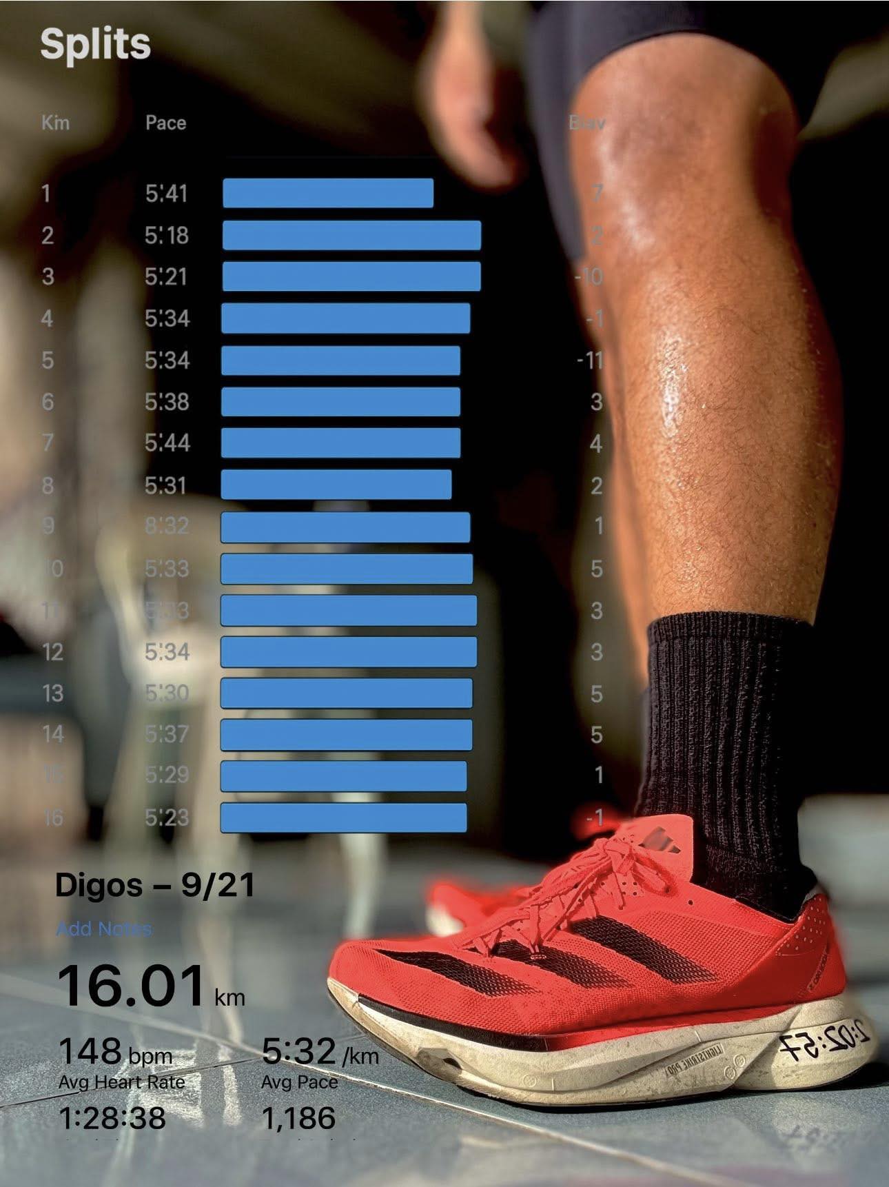 Adizero Select 3.0 KQ x Quiccs 