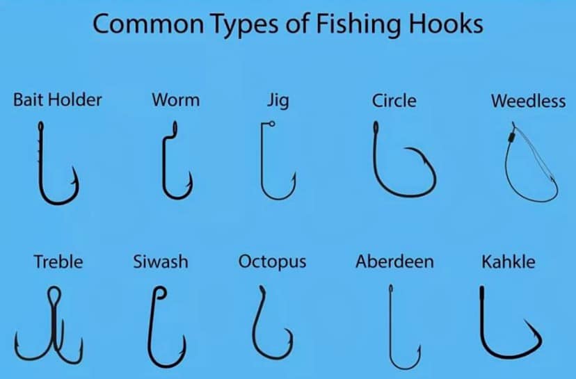 bottom fishing east coast of florida hook rules Saltwater Guide, 90+ Fish & Shark, FWC Rules, Size, Taste : Sports & Outdoors Grouper Fishing Bottom Rigs from