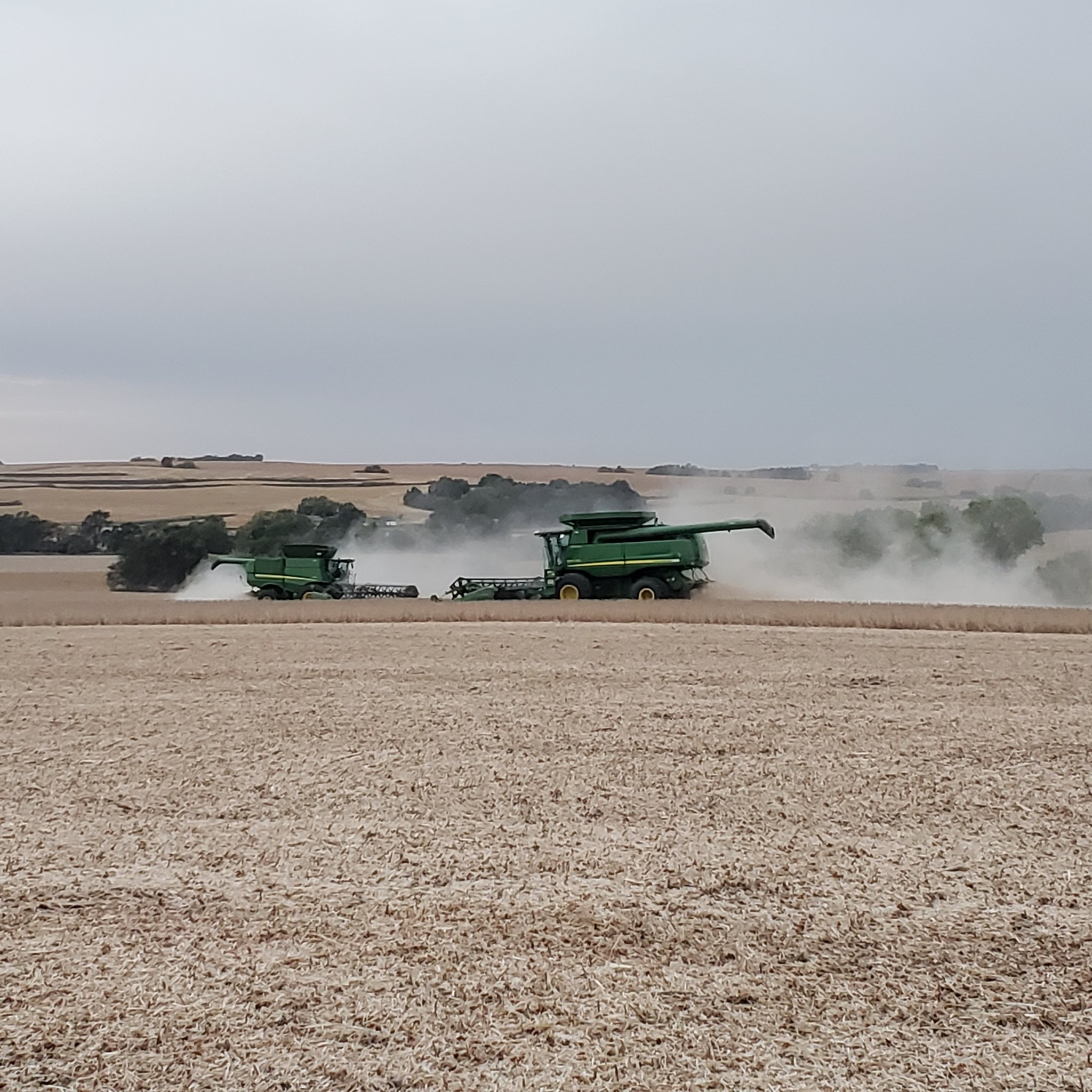 Wemhoff farms Anthony wemhoff | Pilger NE