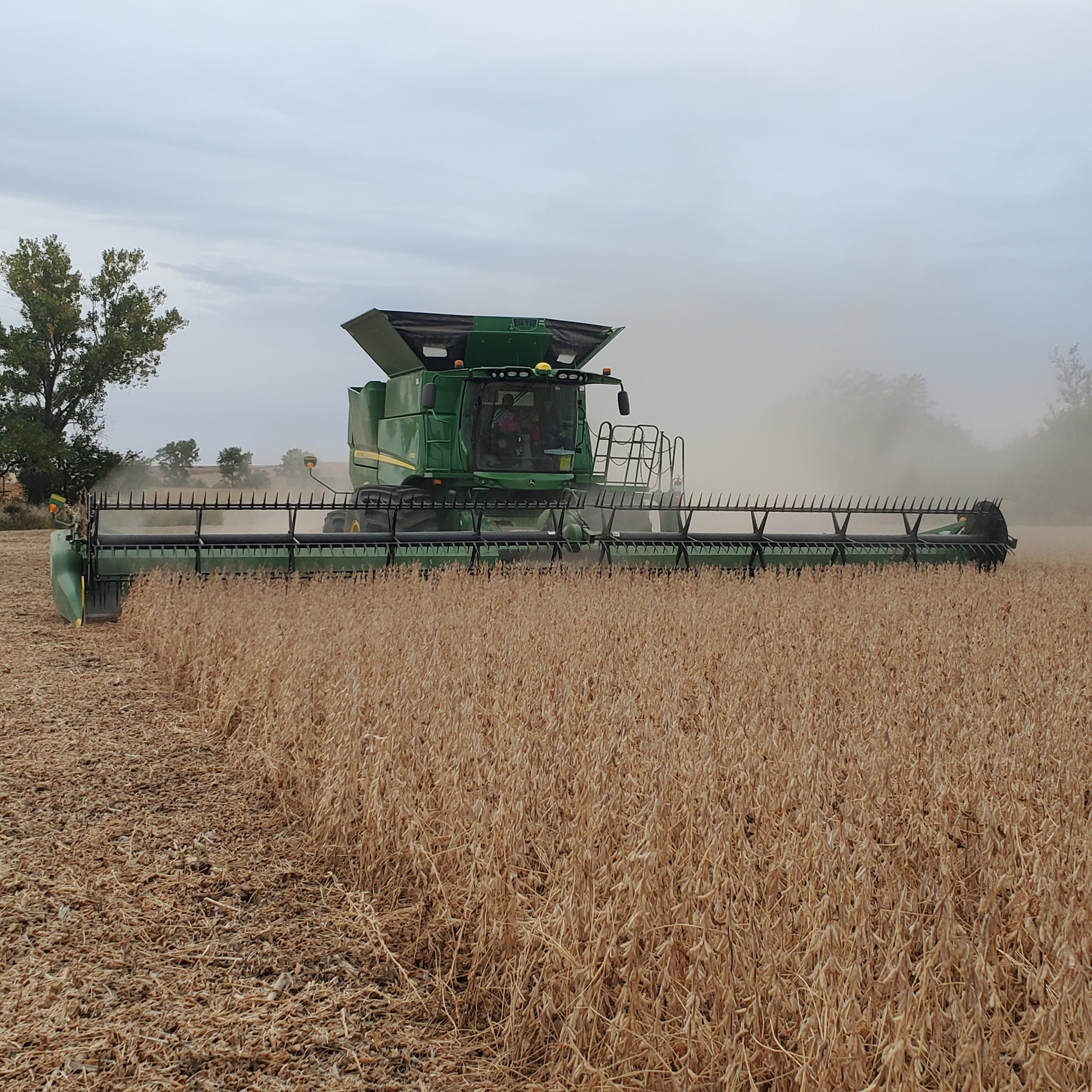 Wemhoff farms Anthony wemhoff | Pilger NE