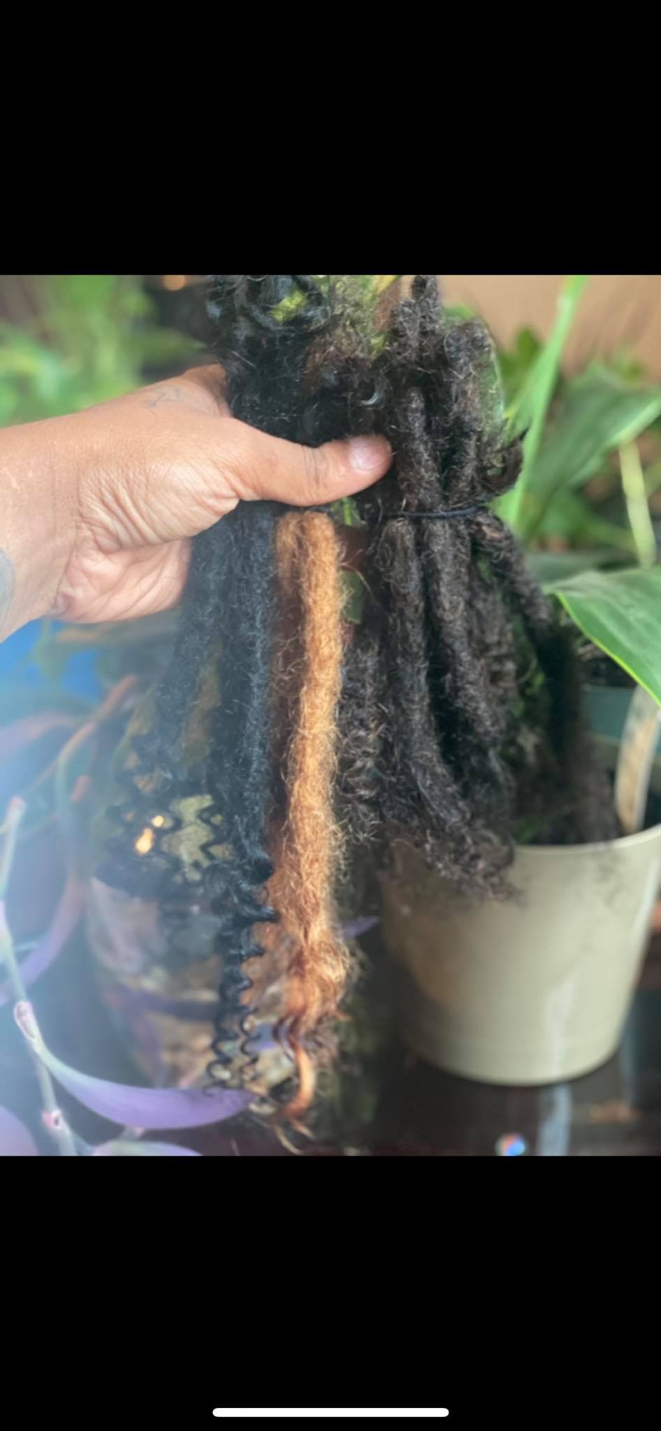 Stone Cold Locs - 🦋 New Loc Extension Collections have...