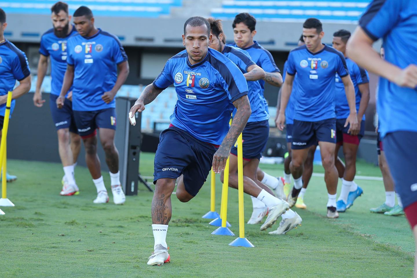 SeleVinotinto