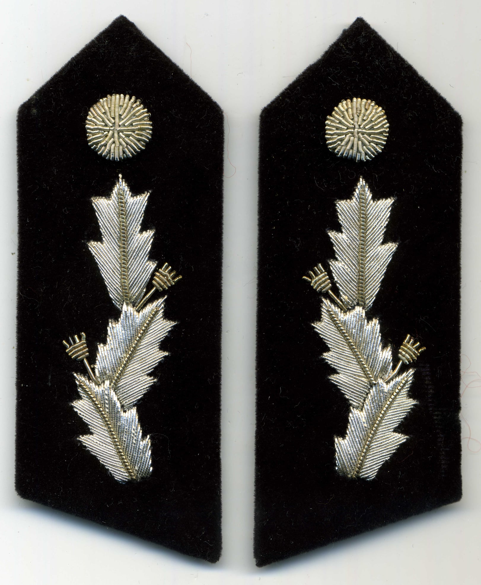 NSW Rural Fire Service and Bush Fire Brigades State History