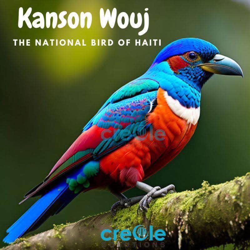Haiti Nouvel Cho added a new photo. - Haiti Nouvel Cho