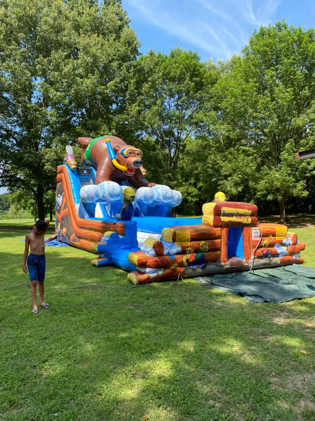 Willy D's Waterslides And Inflatables