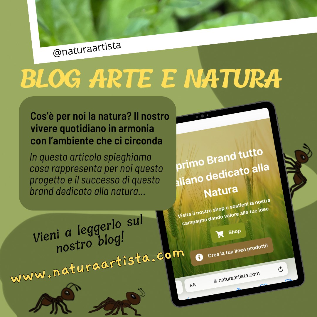Curated visual reference: Visual Reference: Natura Artista Esplora La Bellezza Di Arte E Natura