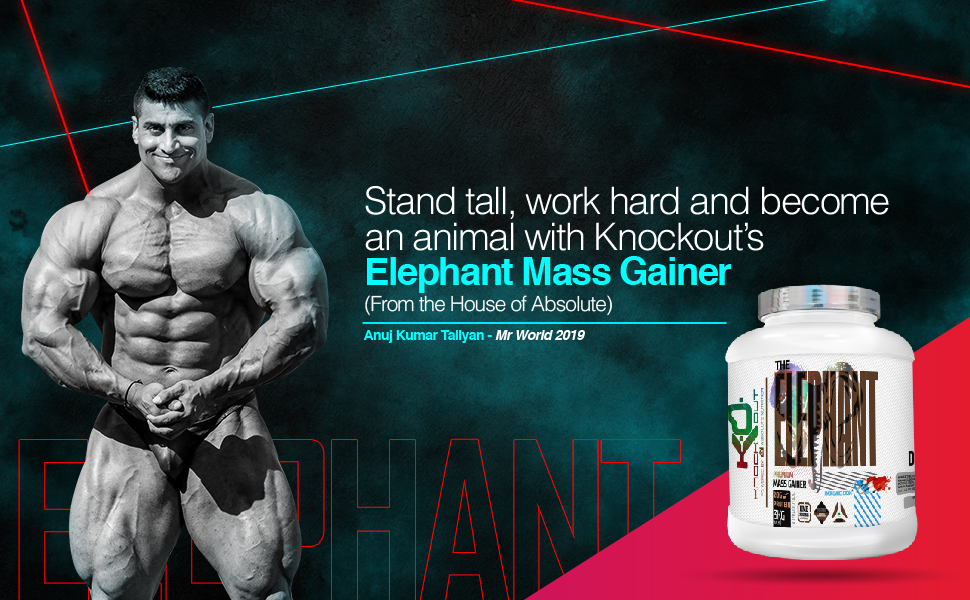 Introducing knockout series... - Absolute Nutrition | Facebook