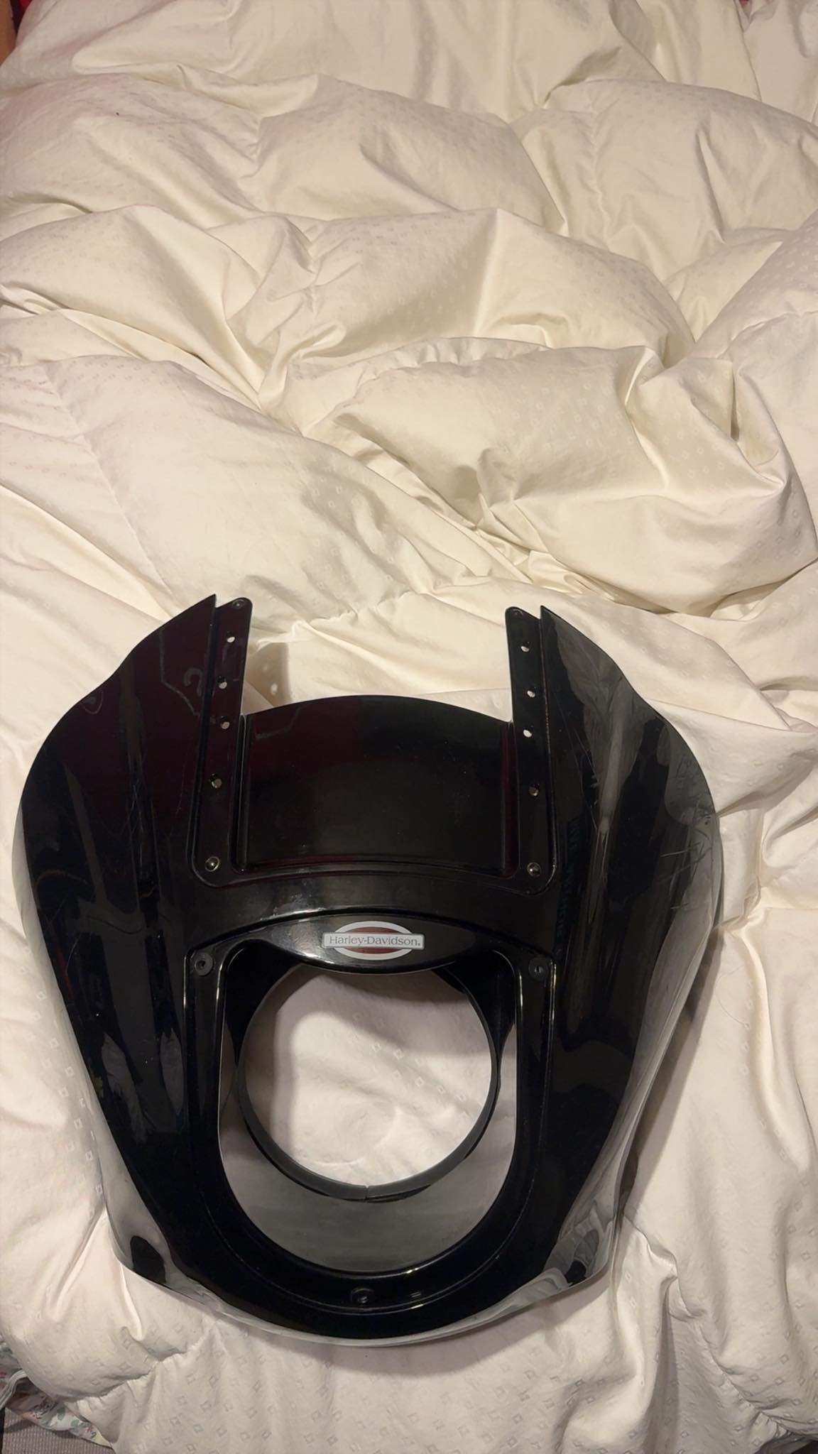 Smoked headlight lens for oem quarter fairing?