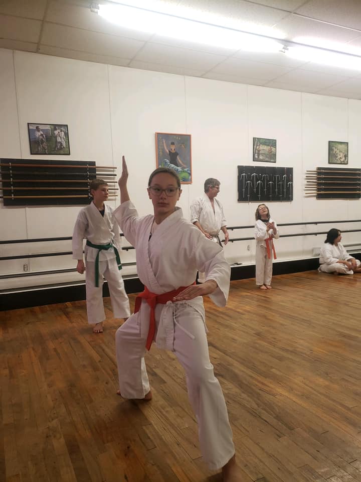 Isshin Ryu Karate Academy | Washington NJ