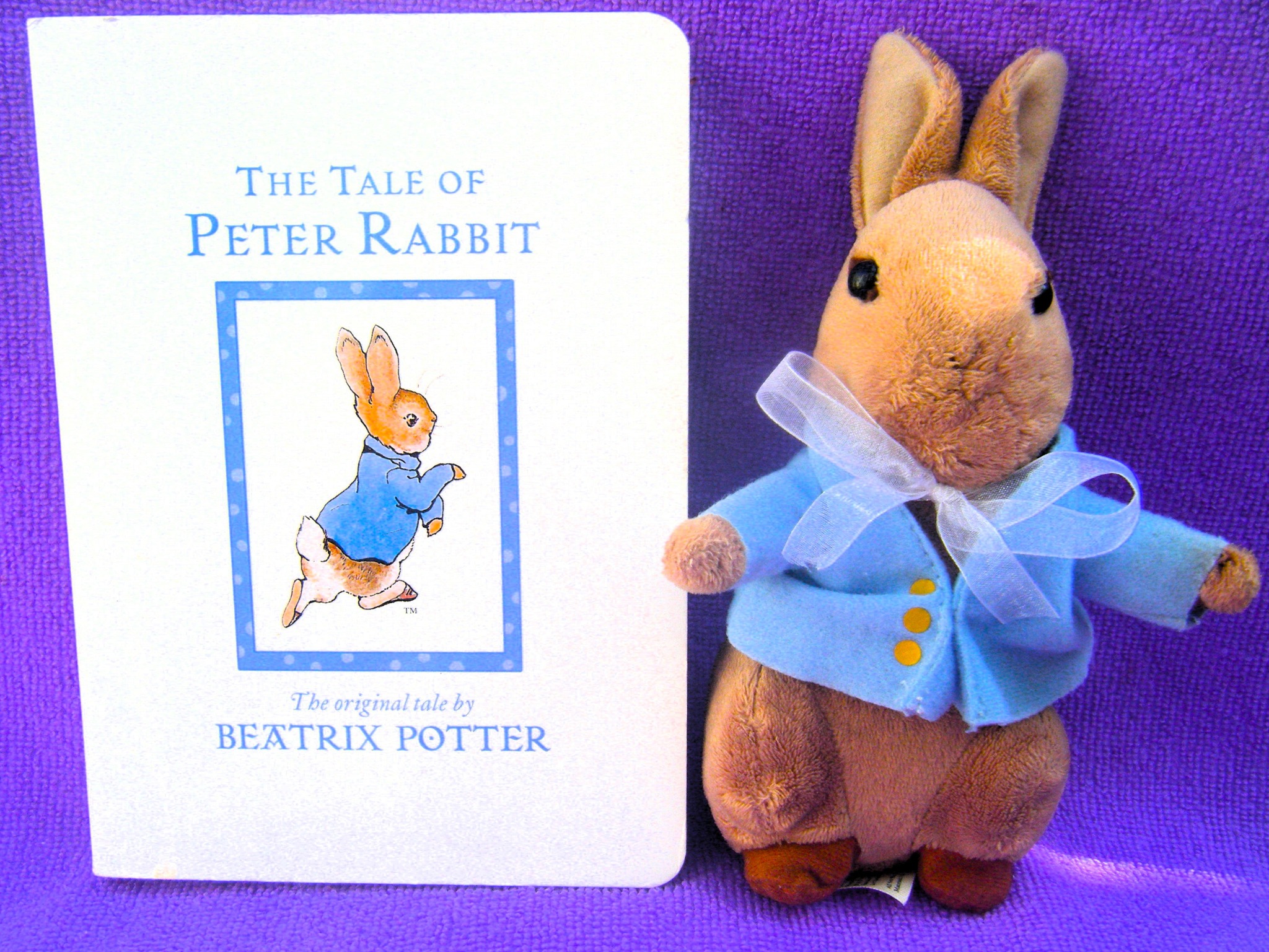 Donated by Susan Daniels, 4) Peter Rabbit wooden building blocks