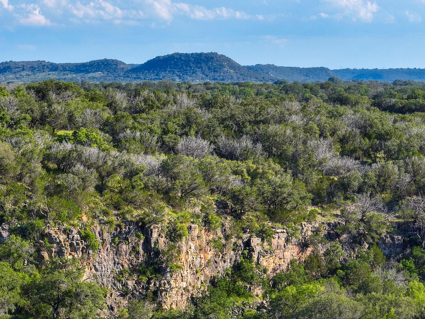 Shipley Ranches | Austin TX