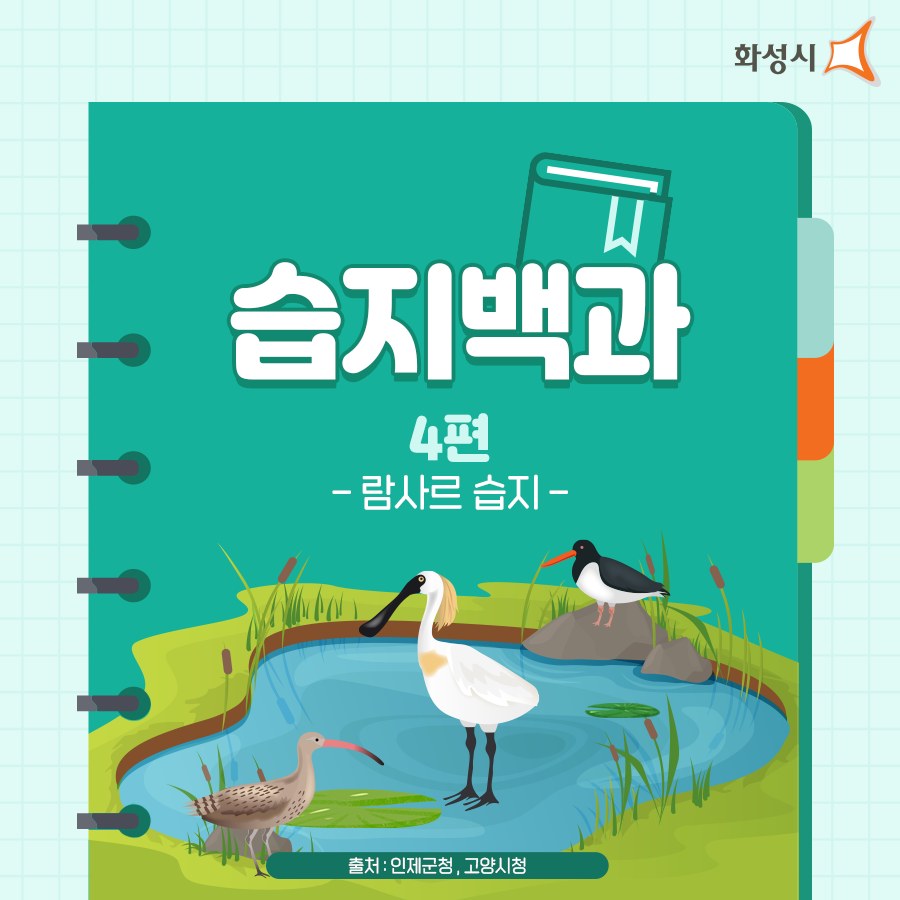 경기국제공항 화성지킴이 - [습지백과] 4편_람사르 습지 ⠀ 습지에 대한 A to Z 가 궁금하다면?...