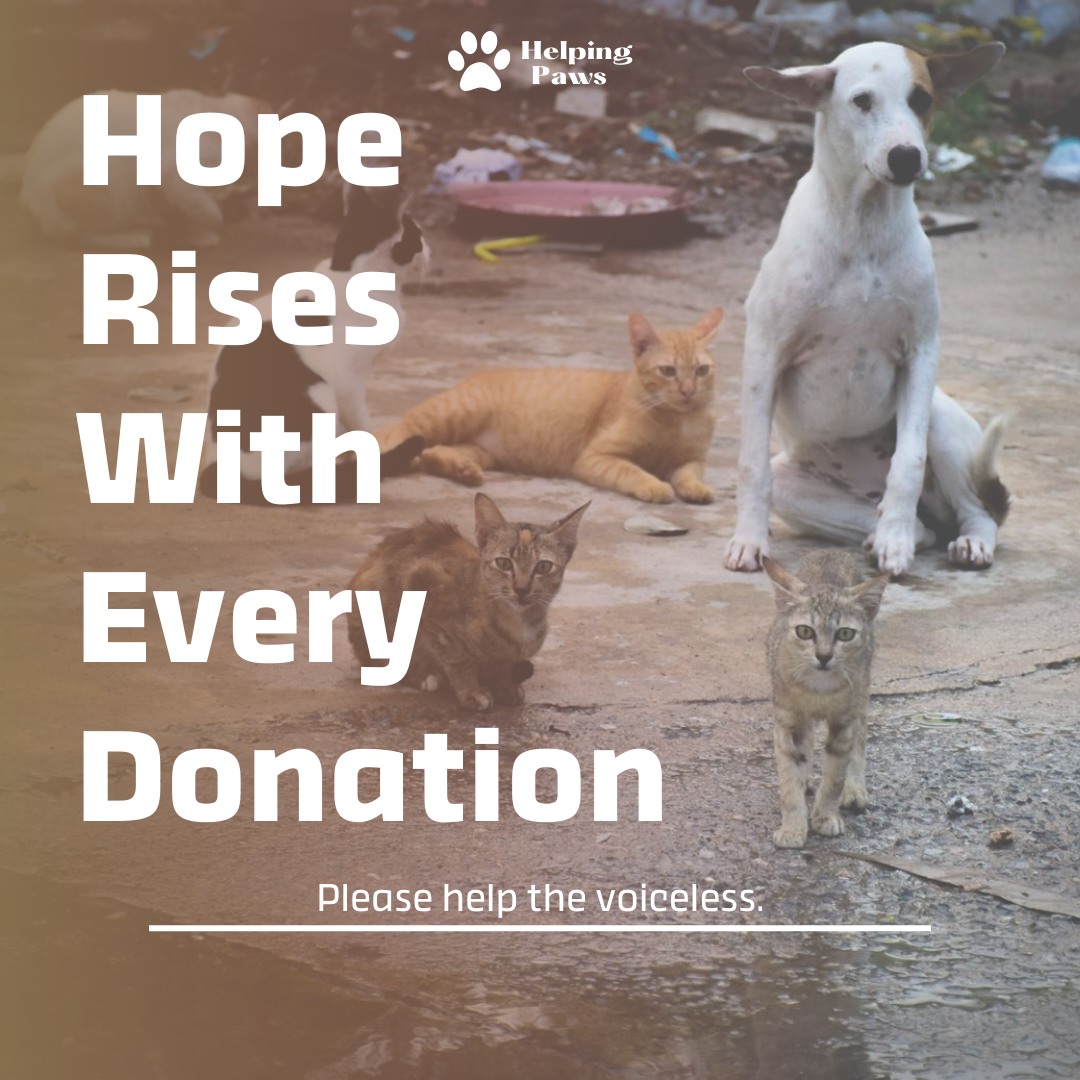 Helping Paws - HOPE RISES WITH EVERY DONATION The year... | Facebook