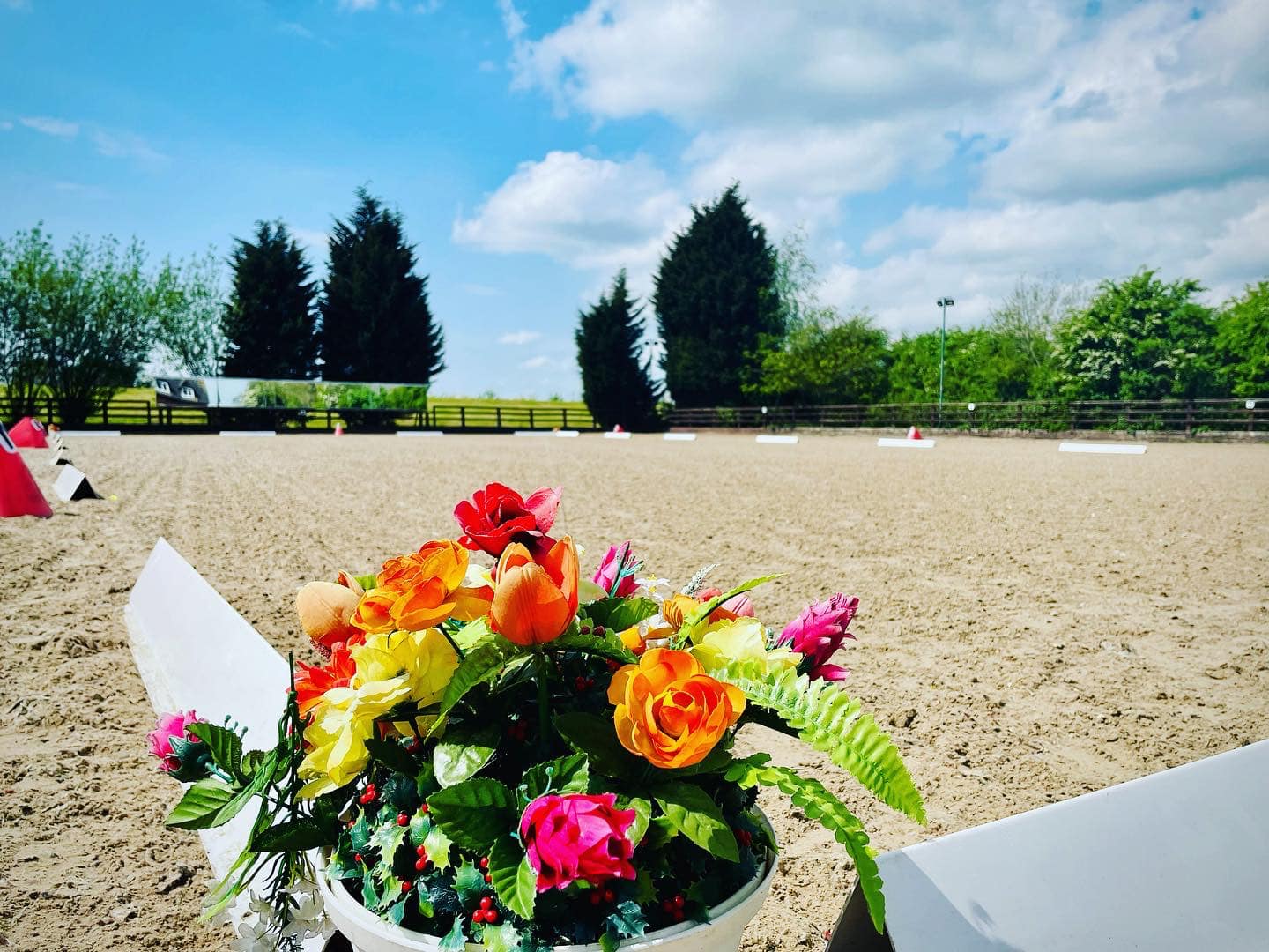 North Midlands RDA added a new photo... - North Midlands RDA
