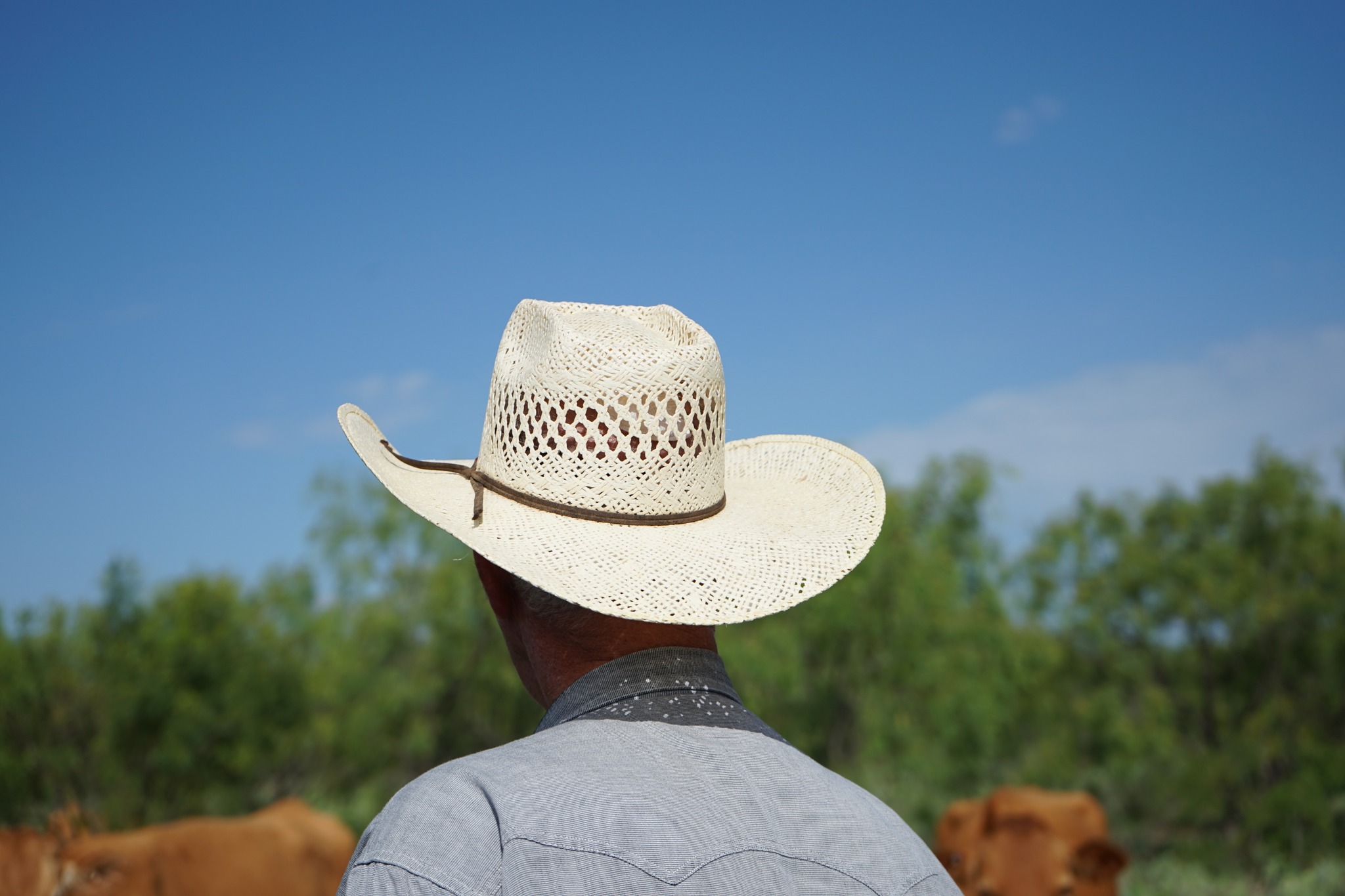Sala-V Ranch | Carlsbad TX