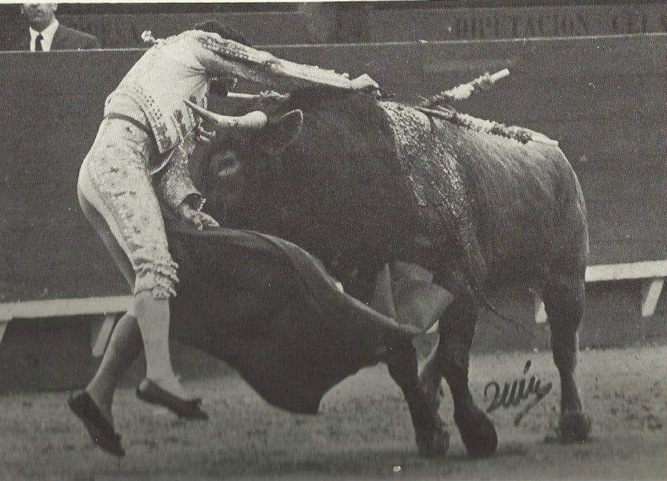Atropellando a la... - Cossìo 