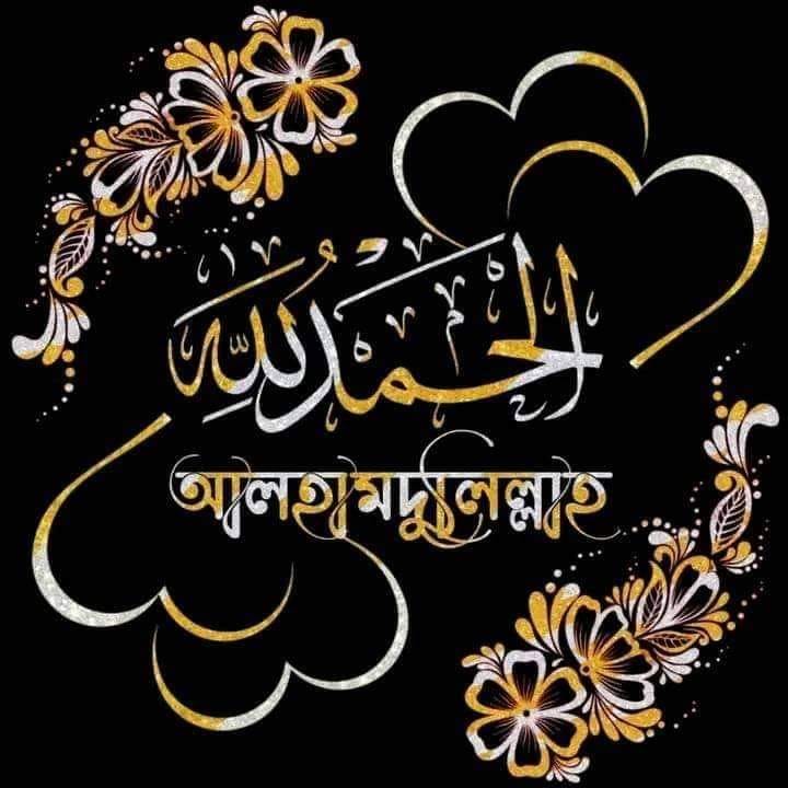 Hamidul Islam