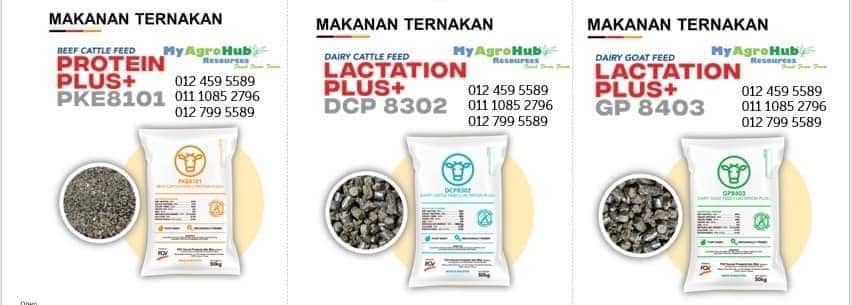 ️ ️KAMI MASIH MENCARI AGENT ️ ️... - MyAgroHub Resources
