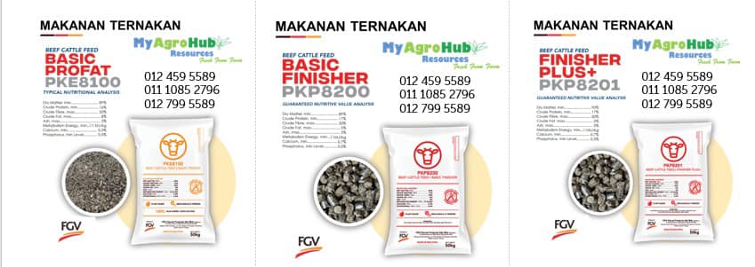 ️ ️KAMI MASIH MENCARI AGENT ️ ️... - MyAgroHub Resources