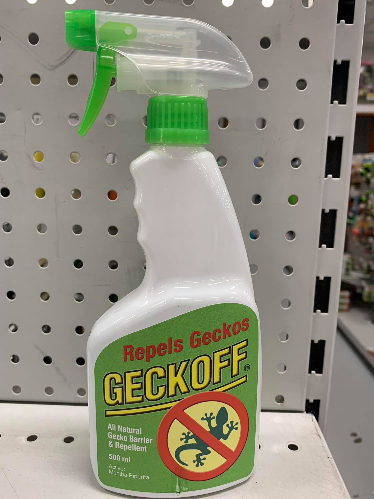 If you're havin' Gecko... - Mitre 10 Ingham Manufactures