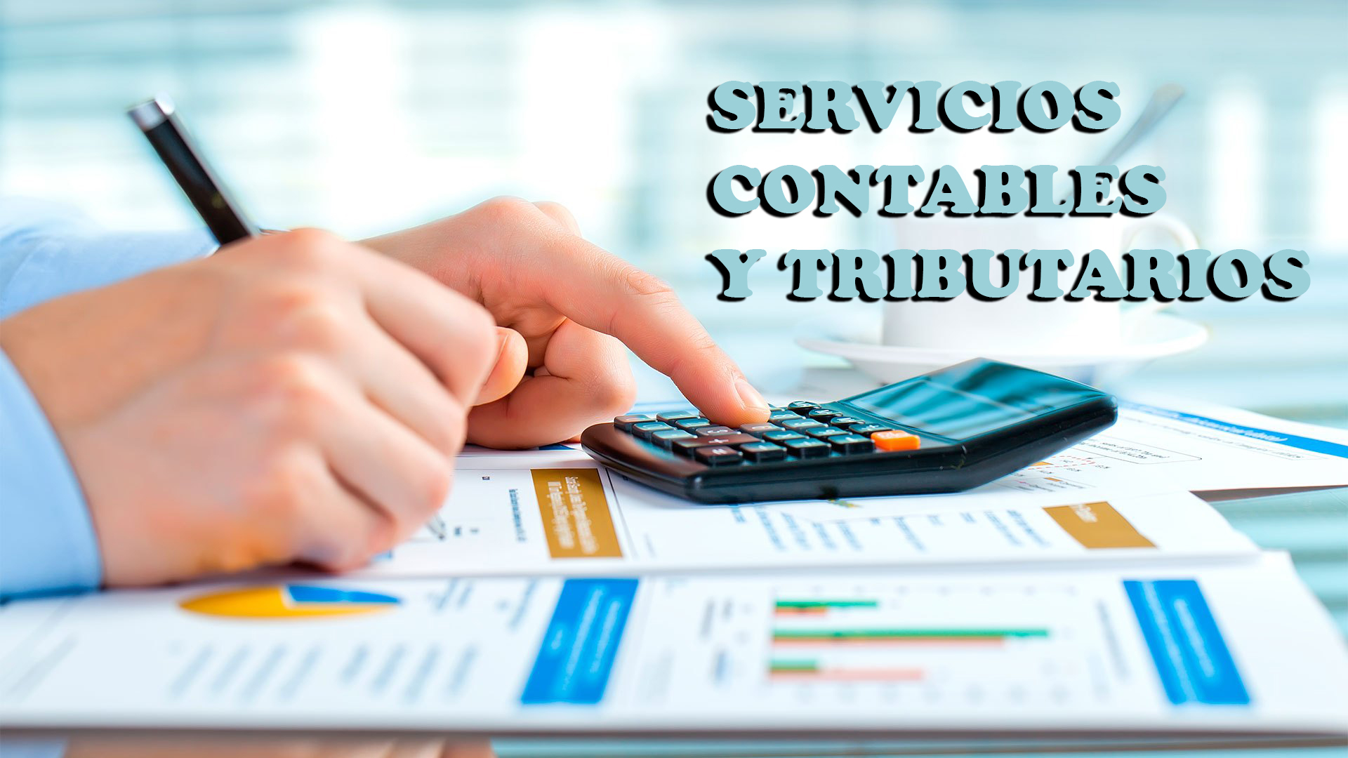 Servicios contables y tributarios