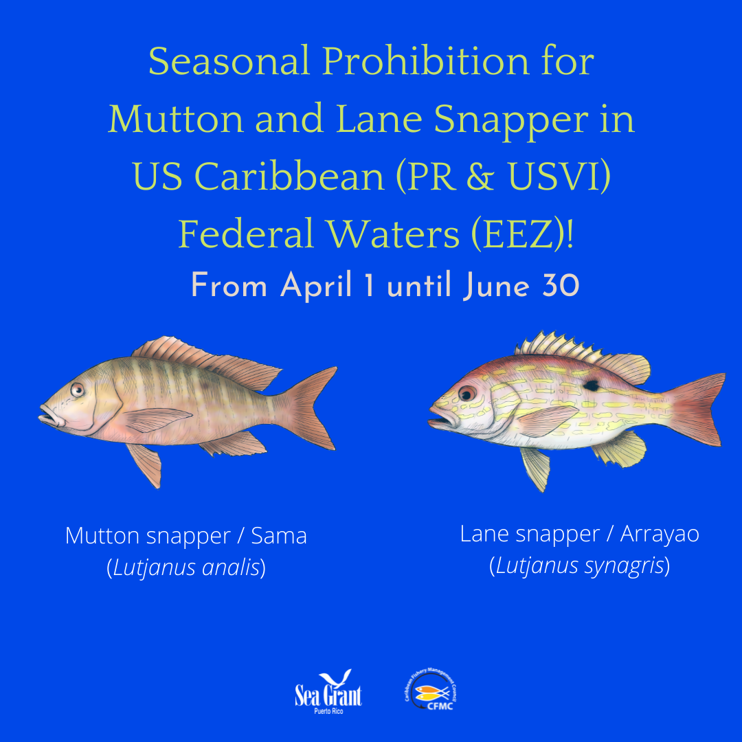 𝐑𝐄𝐂𝐎𝐑𝐃𝐀𝐓𝐎𝐑𝐈𝐎 𝐃𝐄... - Caribbean Fishery Management Council | Facebook