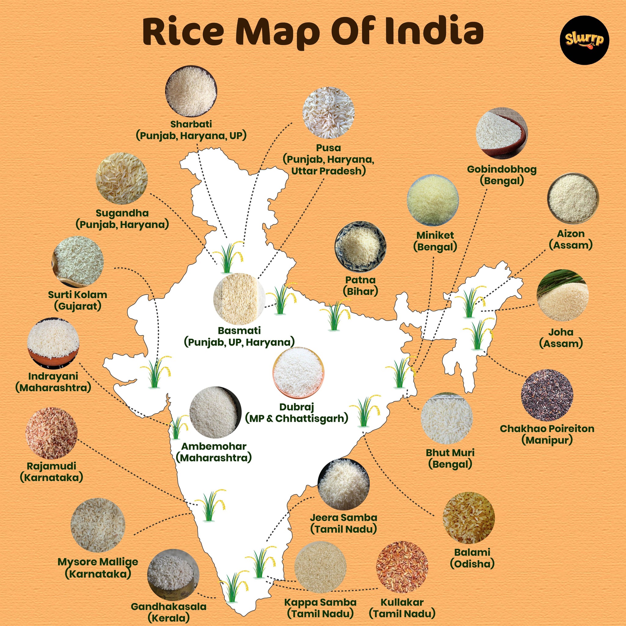 Slurrp - The story of rice in #India is rich, varied and... | Facebook