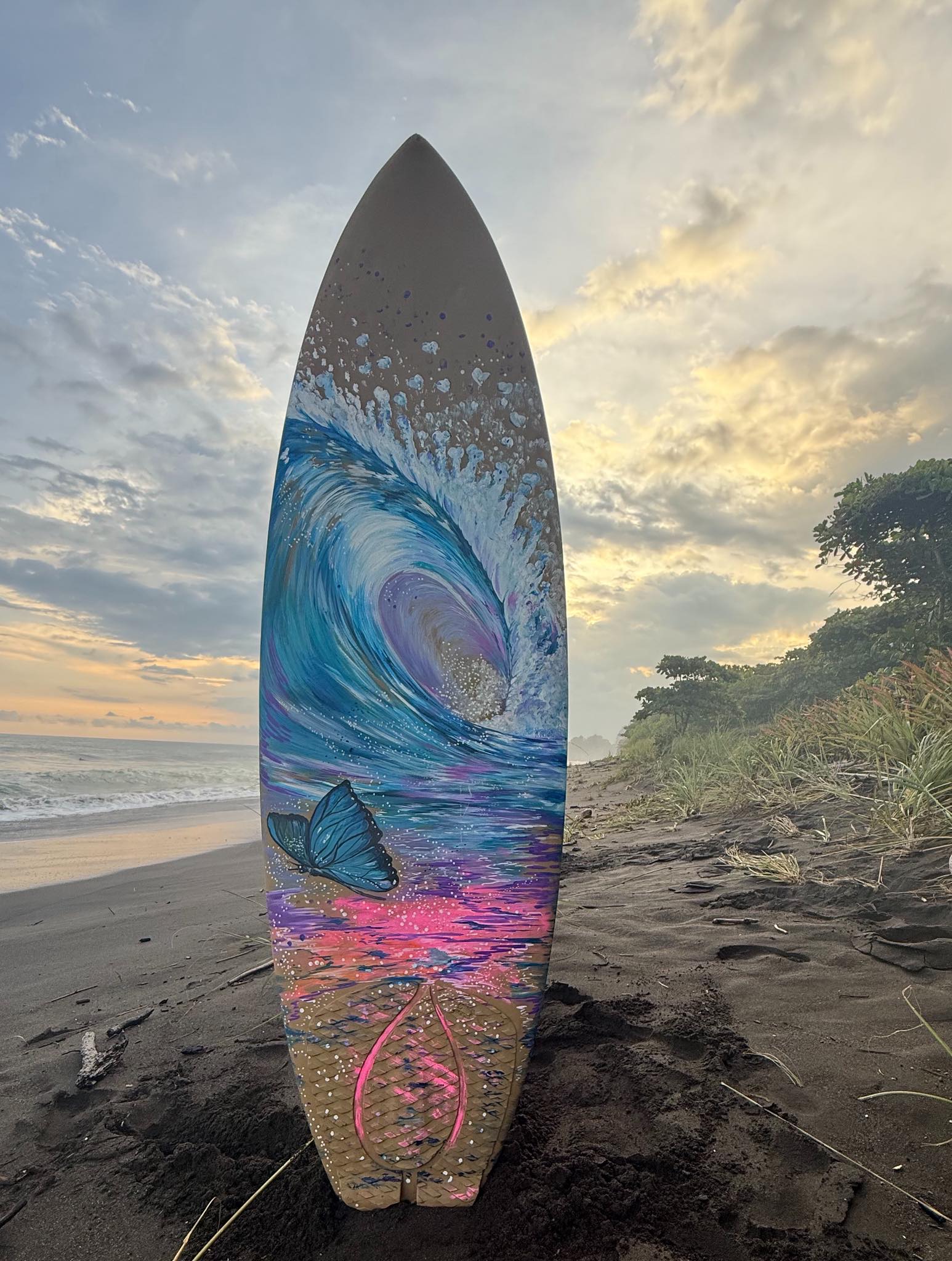 サーフィン・ボディボード scrhroffsurfboards サーフィン・ボディボード scrhroffsurfboards scrhroffsurfboards
