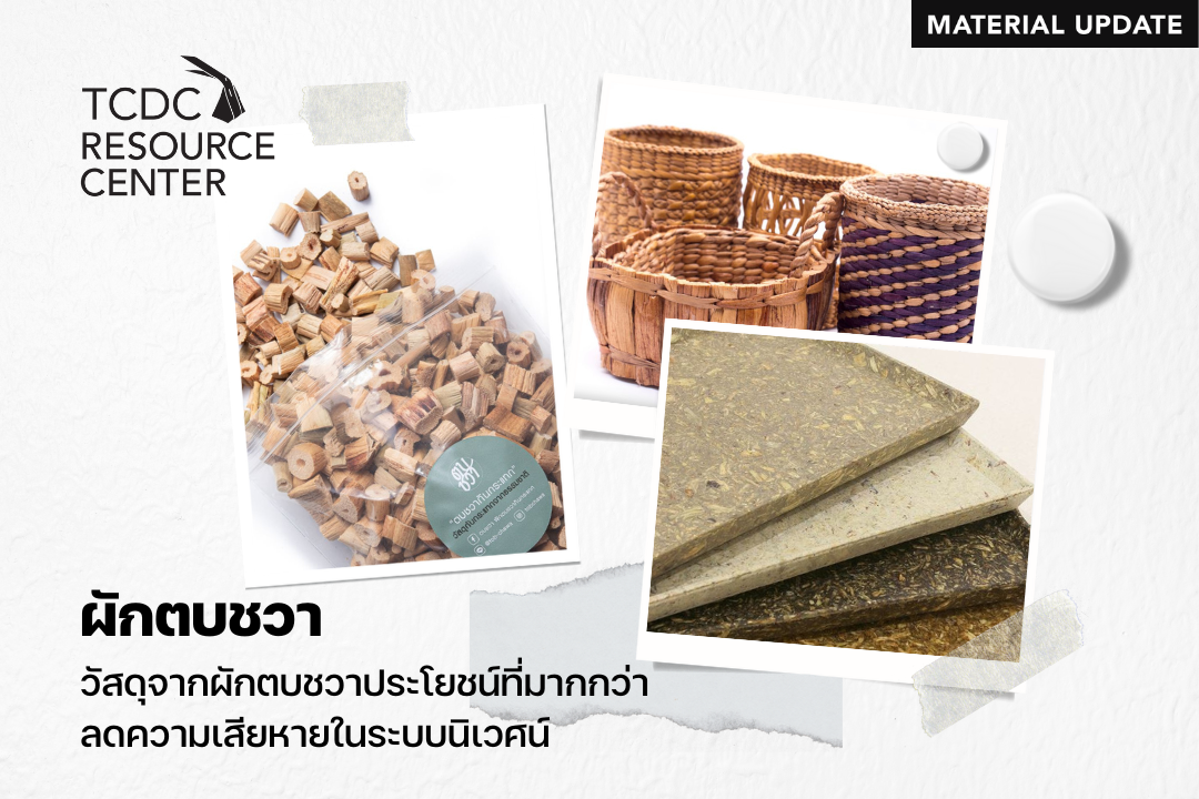 ผักตบชวาพืชท้องถิ่นที่พบเห็นได้บริเว... - TCDC Resource Center