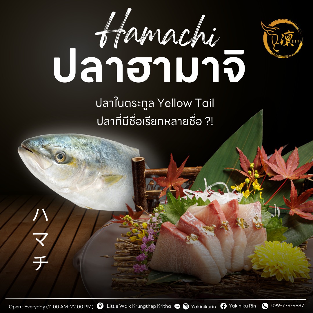 Yakiniku Rin - Hamachi ปลาฮามาจิ บ้านเราเรียกว่า... | Facebook