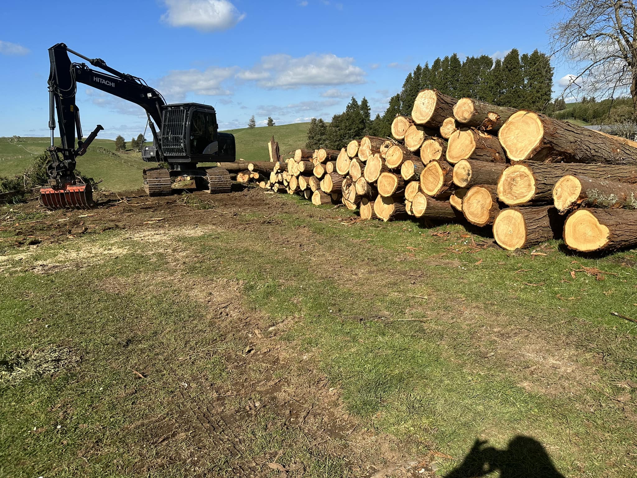 Simpson Tree Works | Piopio